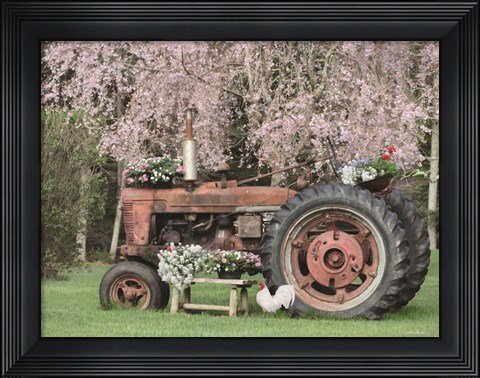 Framed Rooster in the Spring Print