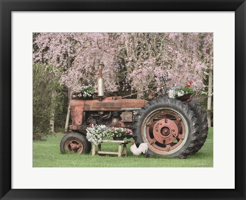 Framed Rooster in the Spring Print