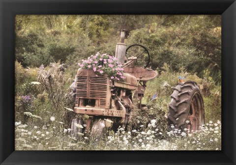 Framed Country Garden Tractor Print