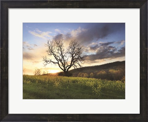 Framed Clark Valley Sunset Print