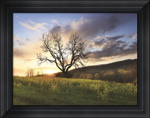 Framed Clark Valley Sunset Print