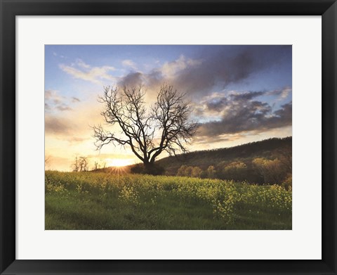 Framed Clark Valley Sunset Print