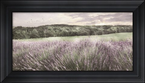 Framed Ridge Farm Lavender Print
