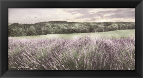 Framed Ridge Farm Lavender Print