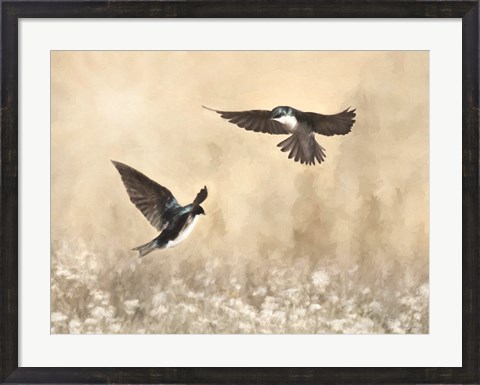 Framed Dance of the Swallows Print