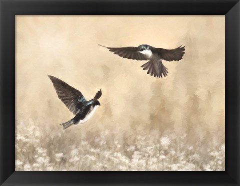 Framed Dance of the Swallows Print