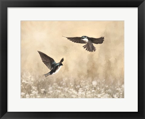 Framed Dance of the Swallows Print