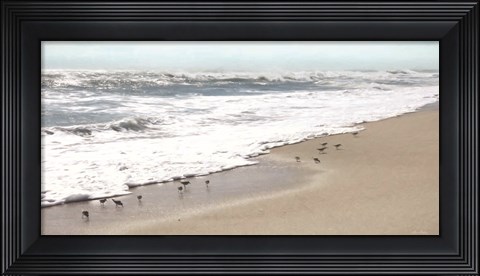 Framed Sandpipers Print