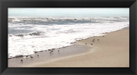 Framed Sandpipers Print