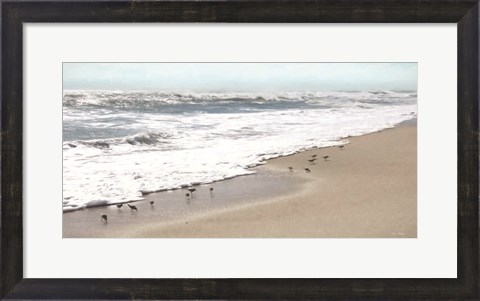 Framed Sandpipers Print