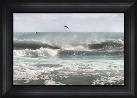 Framed Sea Birds Among the Waves Print