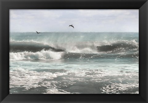 Framed Sea Birds Among the Waves Print