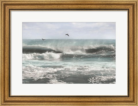 Framed Sea Birds Among the Waves Print