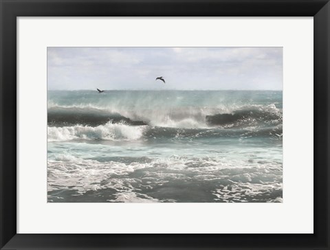 Framed Sea Birds Among the Waves Print