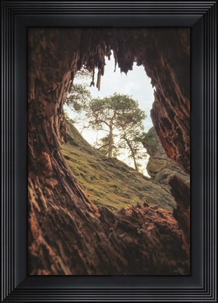 Framed View Through a Tree Print