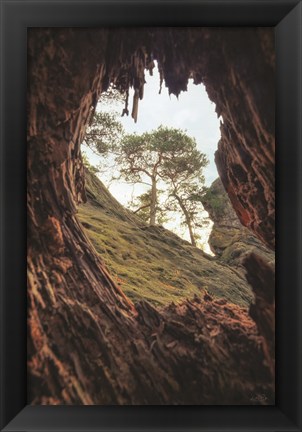 Framed View Through a Tree Print