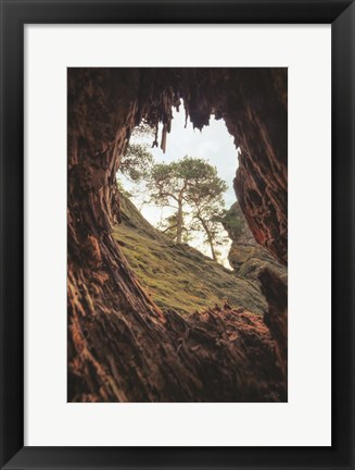 Framed View Through a Tree Print