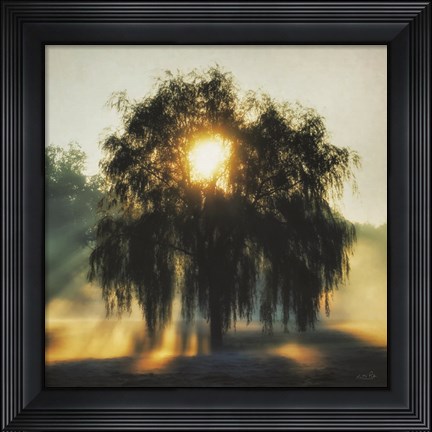 Framed Morning Magnificence Print