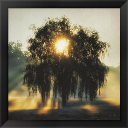 Framed Morning Magnificence Print