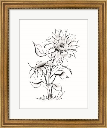 Framed Sunflower Charcoal Sketch Print