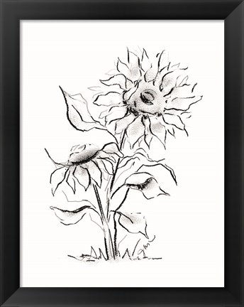 Framed Sunflower Charcoal Sketch Print