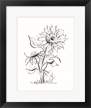 Framed Sunflower Charcoal Sketch Print