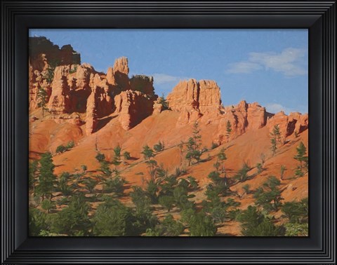 Framed Southwest Print