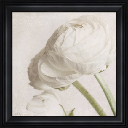 Framed Pure Print