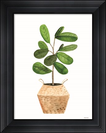 Framed Basket Planter 1 Print