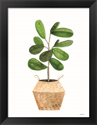 Framed Basket Planter 1 Print