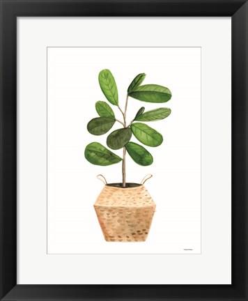 Framed Basket Planter 1 Print