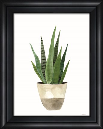 Framed Basket Planter 2 Print