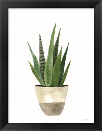 Framed Basket Planter 2 Print