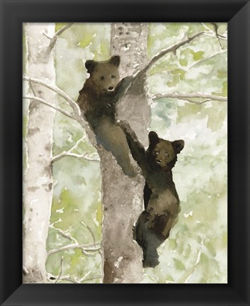 Framed Bear Cub in Tree 1 Print