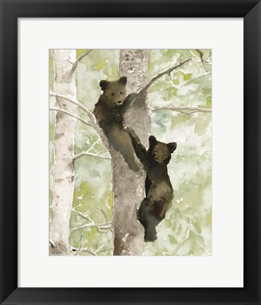 Framed Bear Cub in Tree 1 Print