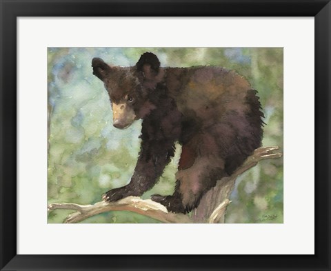 Framed Bear Cub in Tree 2 Print