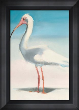 Framed Boca Ibis Print