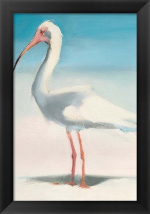 Framed Boca Ibis Print