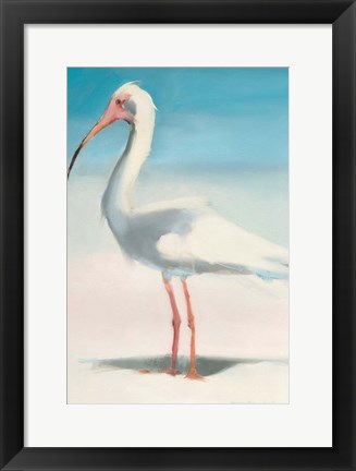 Framed Boca Ibis Print