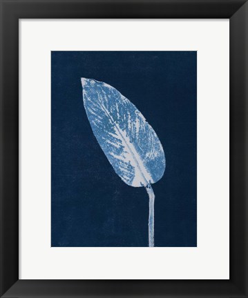 Framed Calathea Blue Print