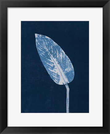 Framed Calathea Blue Print