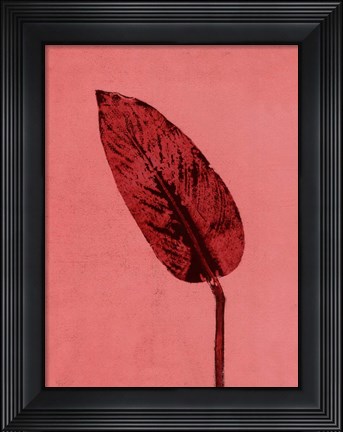 Framed Calathea Red Print
