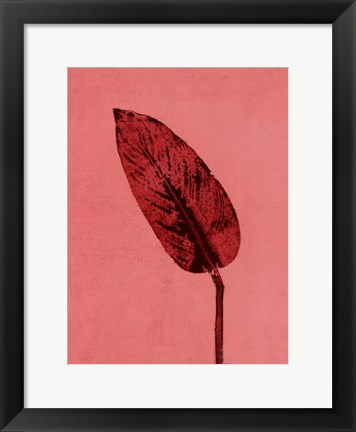 Framed Calathea Red Print