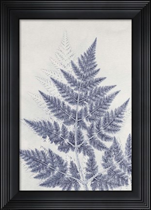 Framed Chevril 1 Print