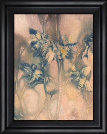 Framed Columbine 1 Blue Print