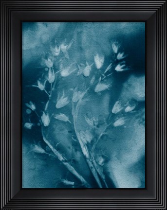 Framed Dropping Star Blue Print