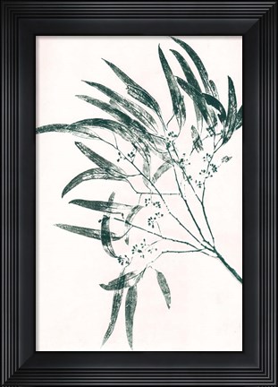 Framed Eucalyptus 2 Green Print