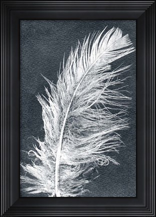 Framed Feather 1 Dark Print