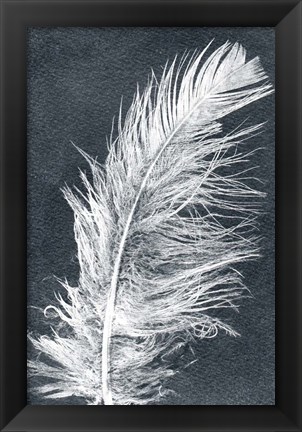 Framed Feather 1 Dark Print