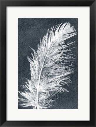 Framed Feather 1 Dark Print